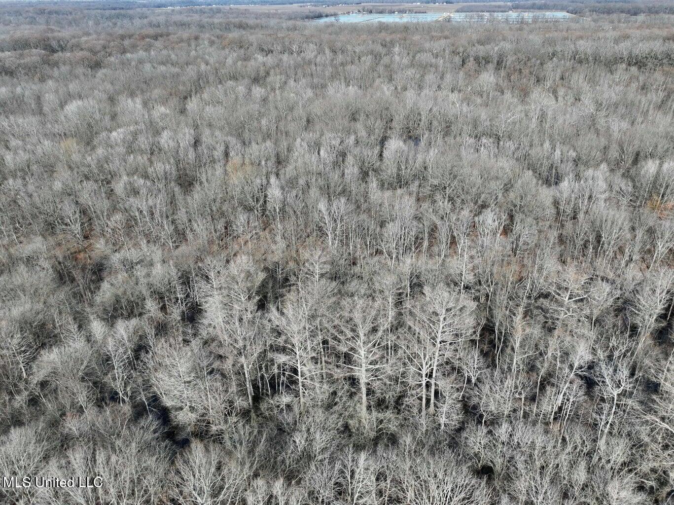 Putnam Road Belzoni, MS 39038 - Photo 37 of 63 20250130232115228430000000-o