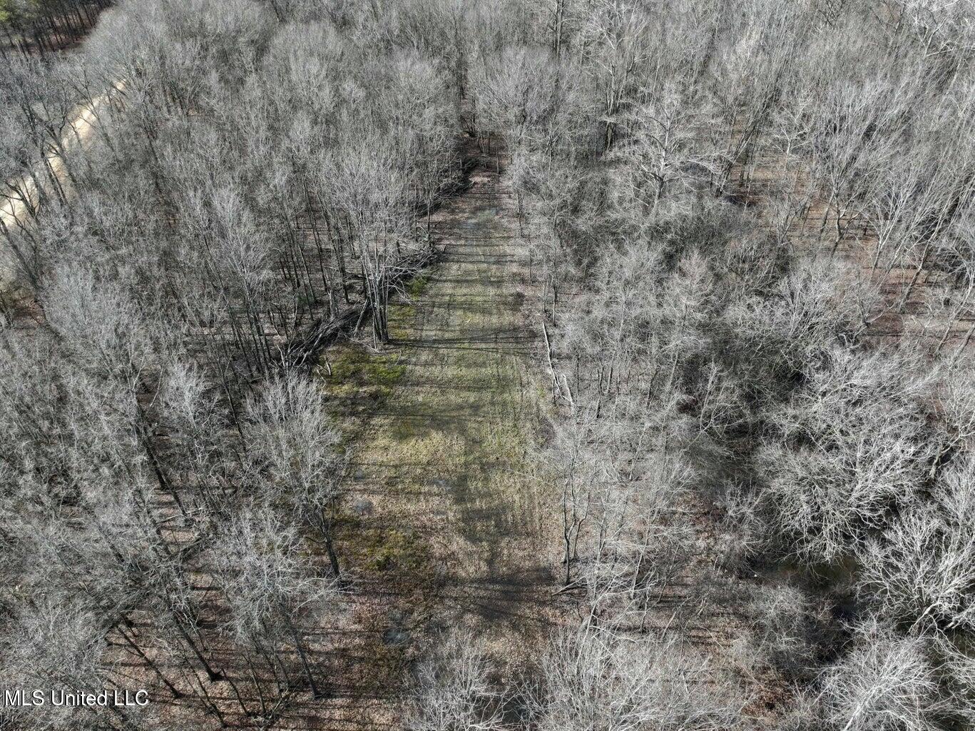 Putnam Road Belzoni, MS 39038 - Photo 38 of 63 20250130232119225705000000-o