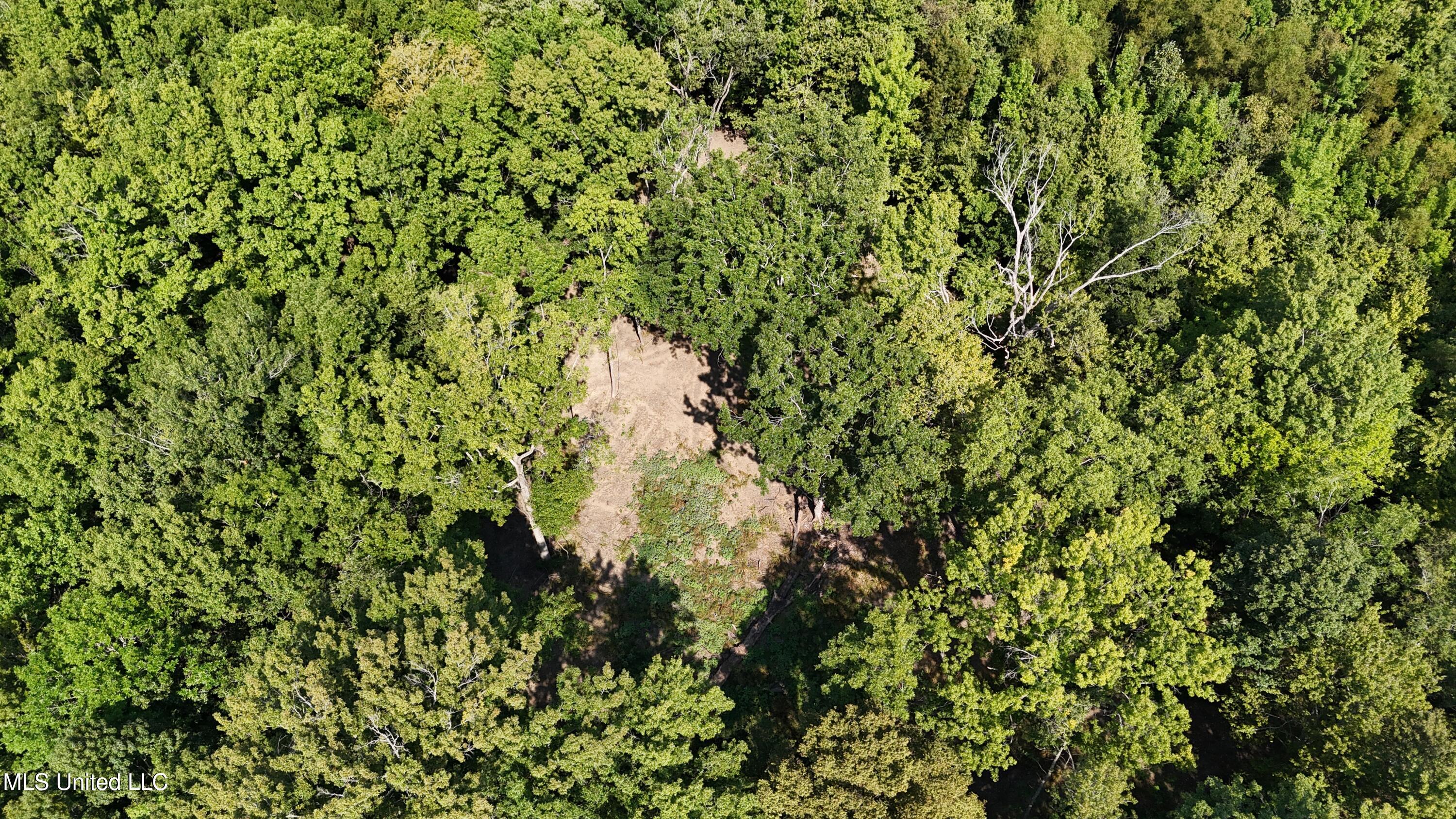 Putnam Road Belzoni, MS 39038 - Photo 44 of 63 dji_fly_20250920_112658_0372_17584053893