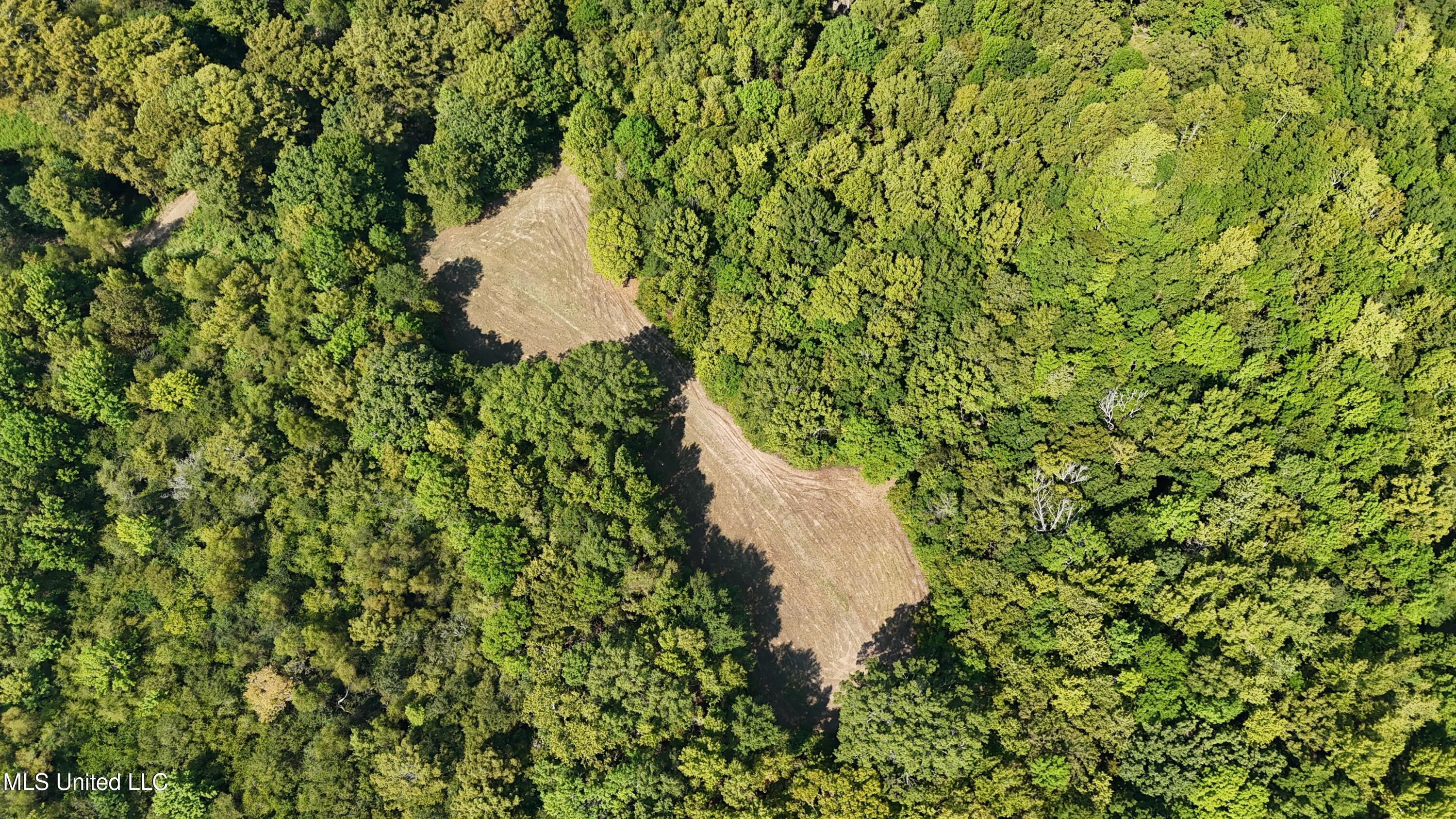 Putnam Road Belzoni, MS 39038 - Photo 45 of 63 dji_fly_20250920_112852_0374_17584053888
