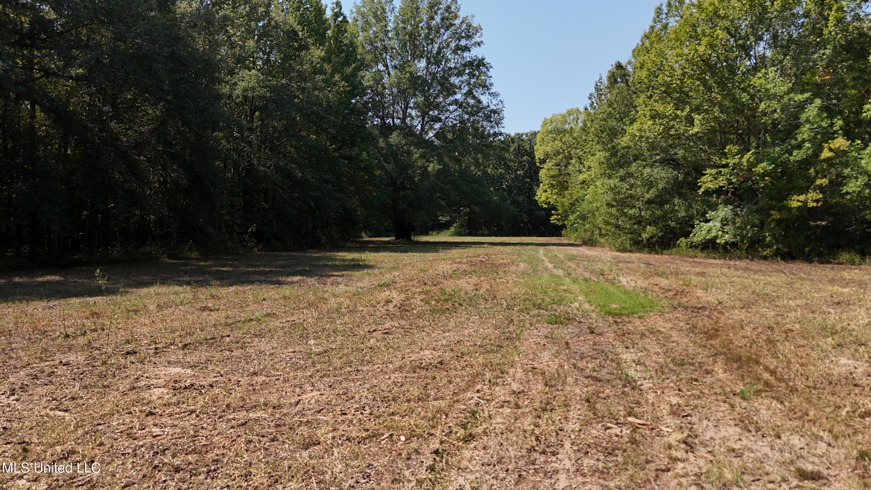 Putnam Road Belzoni, MS 39038 - Photo 49 of 63 dji_fly_20250920_123648_0394_17584053871