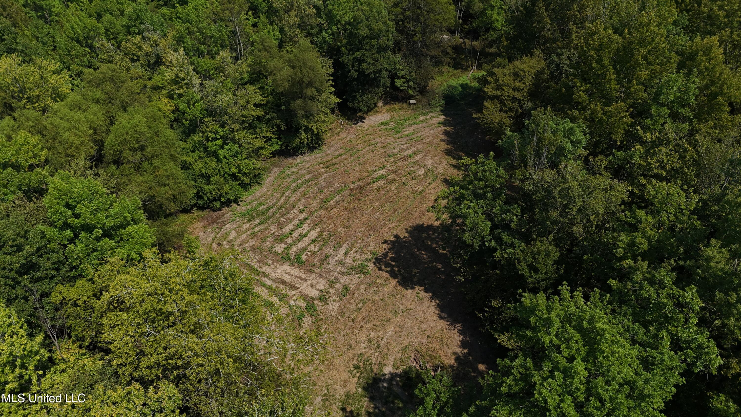 Putnam Road Belzoni, MS 39038 - Photo 50 of 63 dji_fly_20250920_123718_0396_17584053868