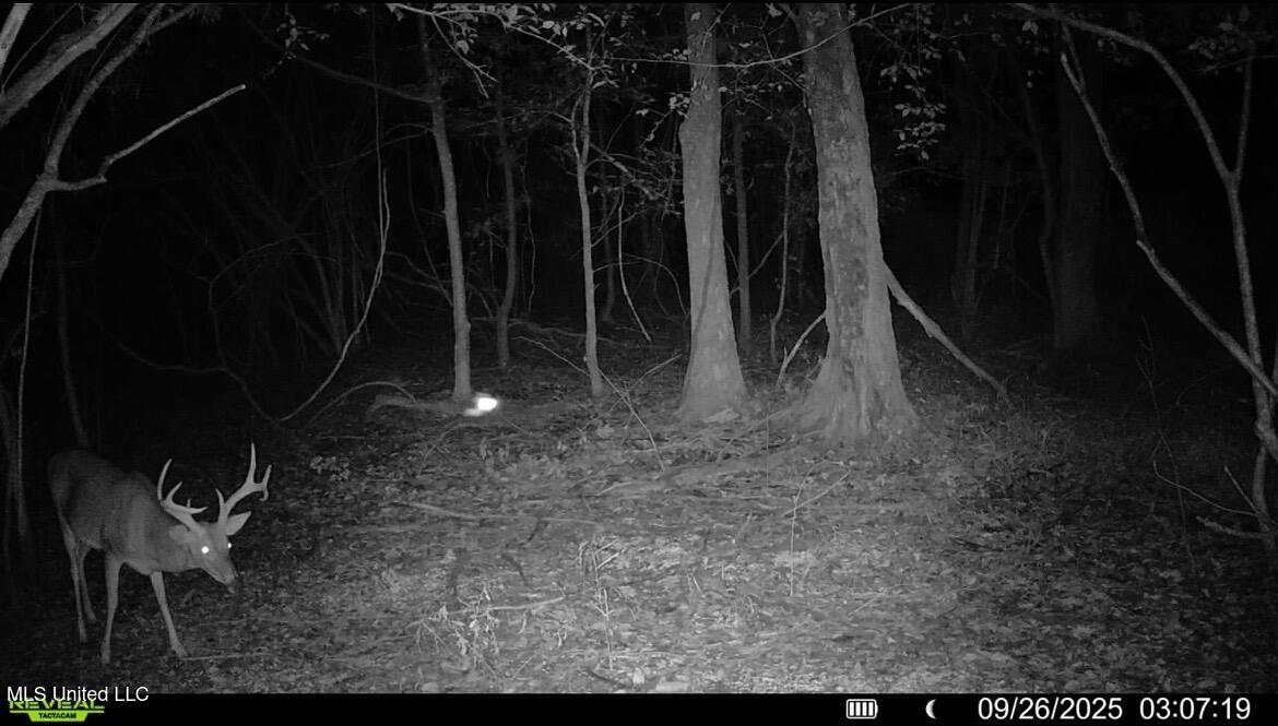 Putnam Road Belzoni, MS 39038 - Photo 54 of 63 IMG_4747