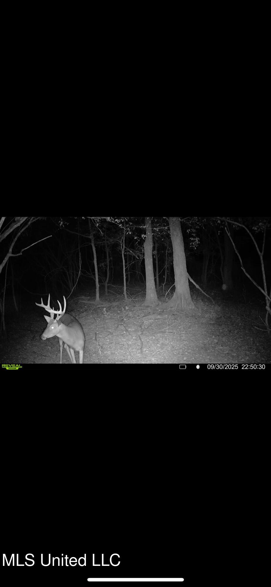 Putnam Road Belzoni, MS 39038 - Photo 58 of 63 IMG_4907