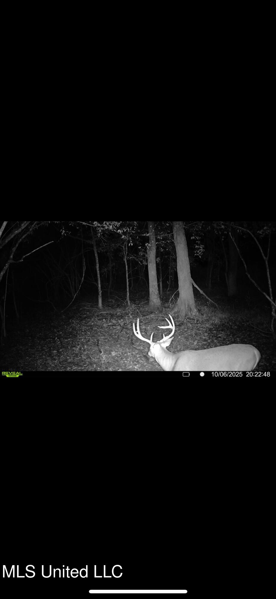 Putnam Road Belzoni, MS 39038 - Photo 59 of 63 IMG_4906