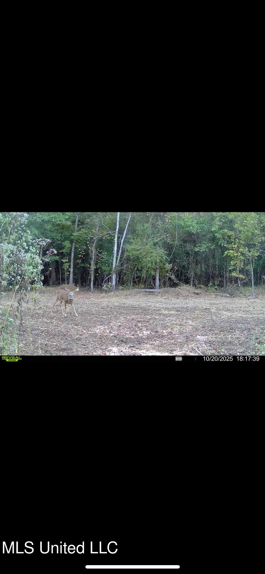 Putnam Road Belzoni, MS 39038 - Photo 60 of 63 IMG_4905