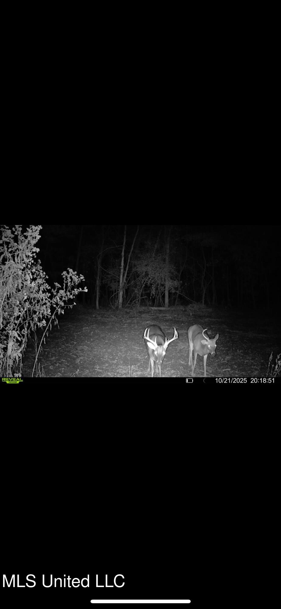 Putnam Road Belzoni, MS 39038 - Photo 63 of 63 IMG_4902