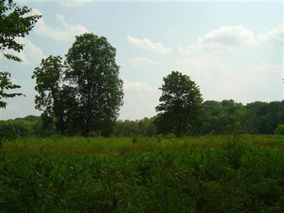 0 Saylor Road Crab Orchard, KY 40419 - Photo 7 of 10 Photo 7