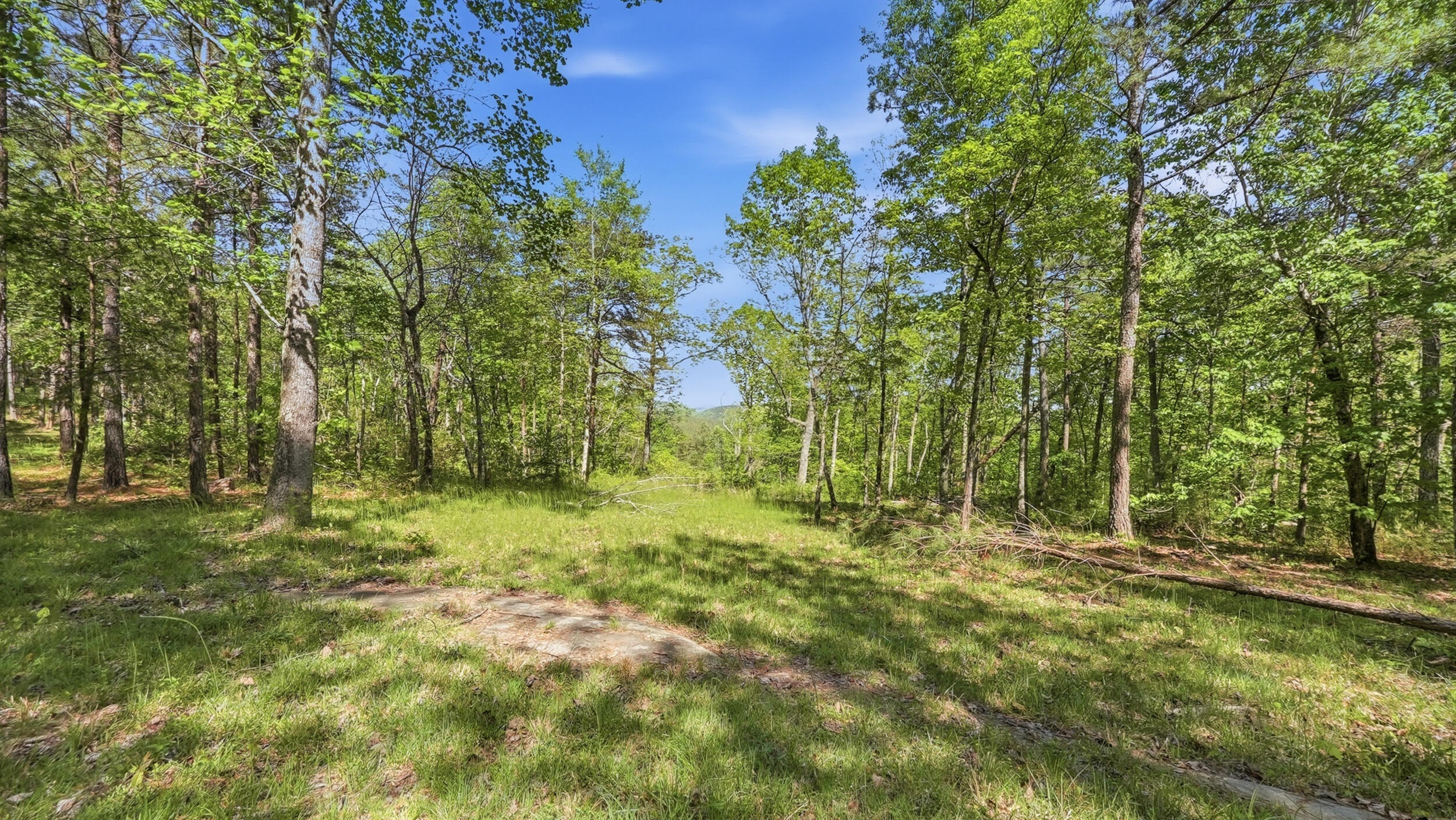 0 Worley Road, Unit LOT 43 Soddy-Daisy, TN 37379 - Photo 15 of 31 11024 Worley Rd-14