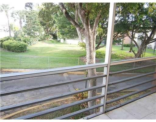 a view of a yard from a window