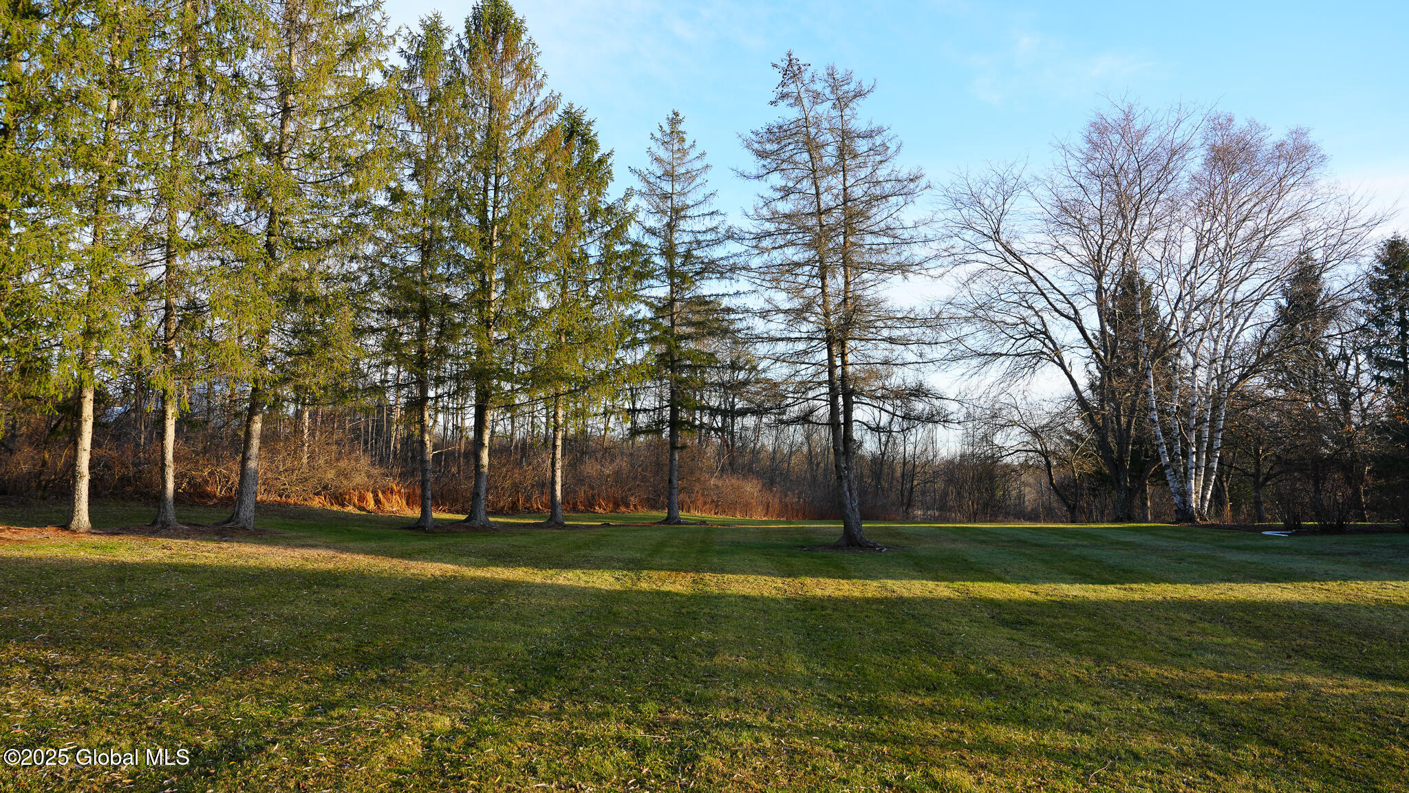 249 Albert Road Delanson, NY 12053 - Photo 23 of 44 DSC01953