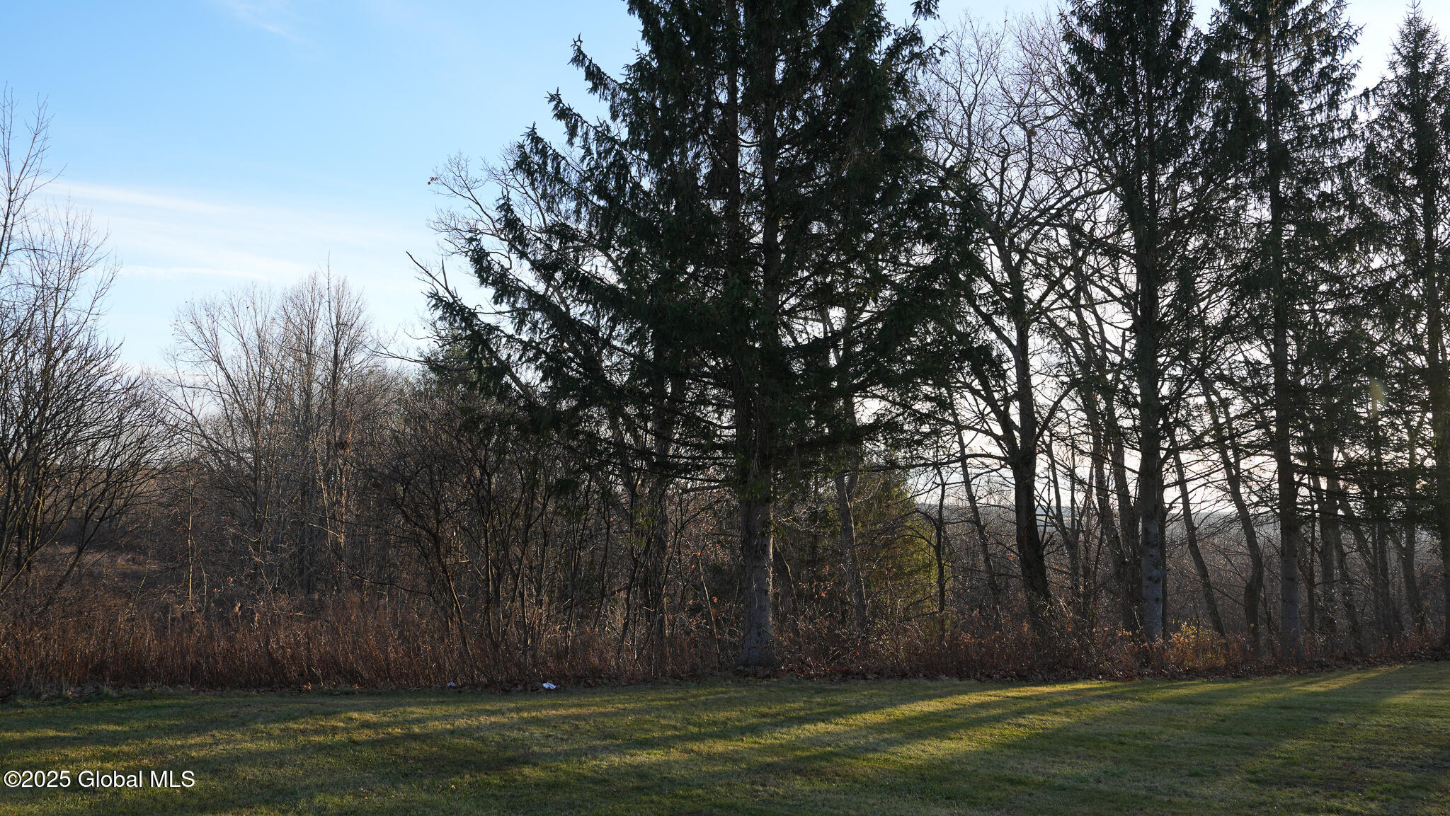 249 Albert Road Delanson, NY 12053 - Photo 25 of 44 DSC01966