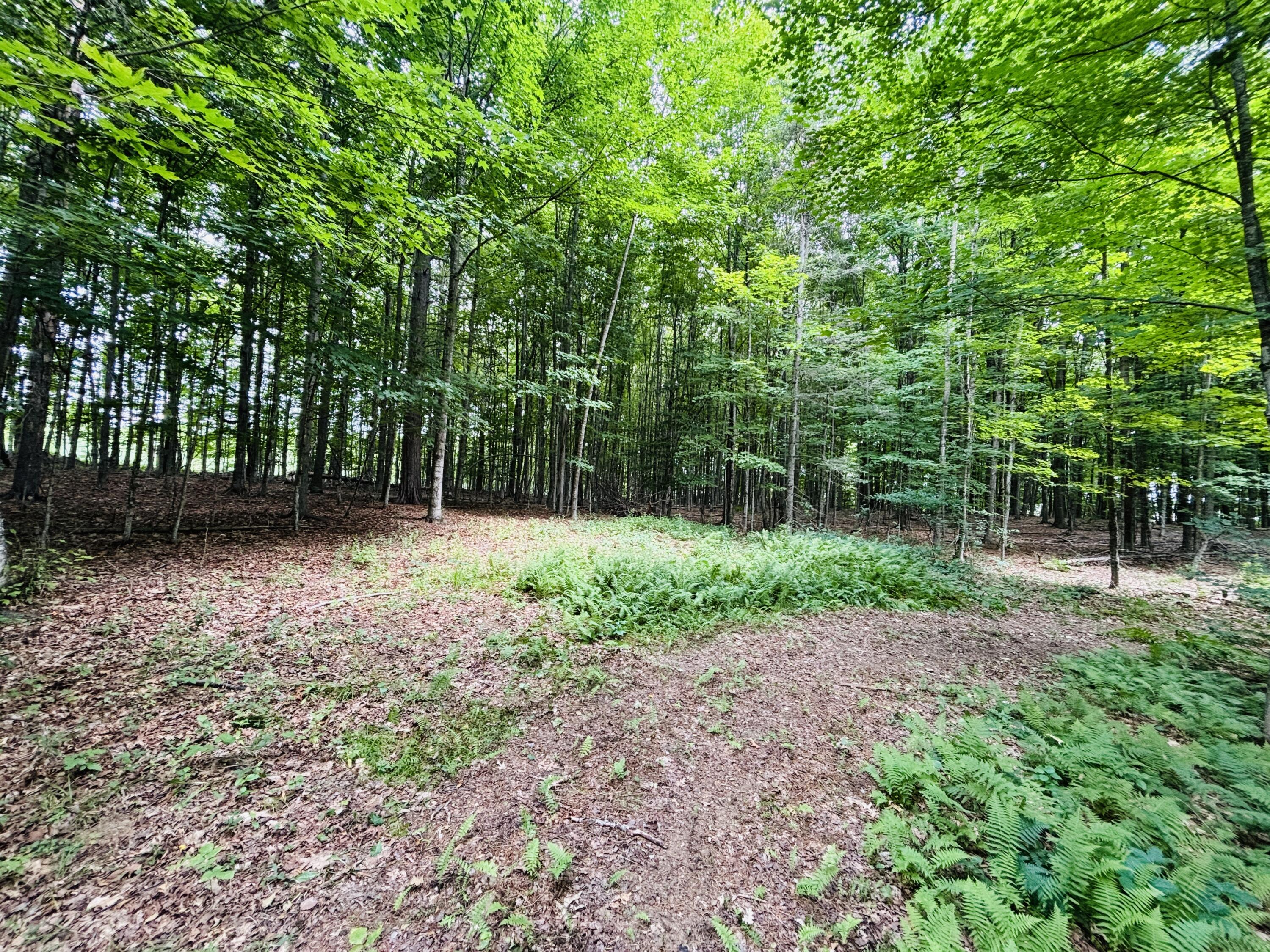 13 Lower Notch Road Garland, ME 04939 - Photo 17 of 27 IMG_0210