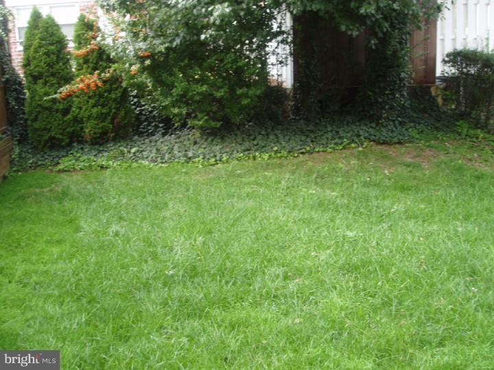 8426 Bridle Road Philadelphia, PA 19111 - Photo 23 of 24 Back Yard