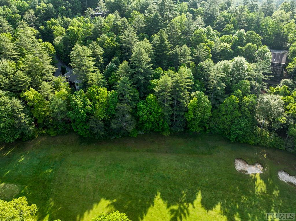 Tbd Gold Creek Road Sapphire, NC 28774 - Photo 1 of 6 Gallery Image 1