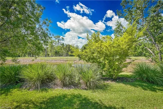 a view of a park with palm trees