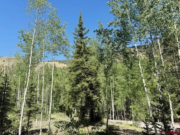 $179,000 | 2621 Silver Coin Ln Lake, Lake City, CO 81235