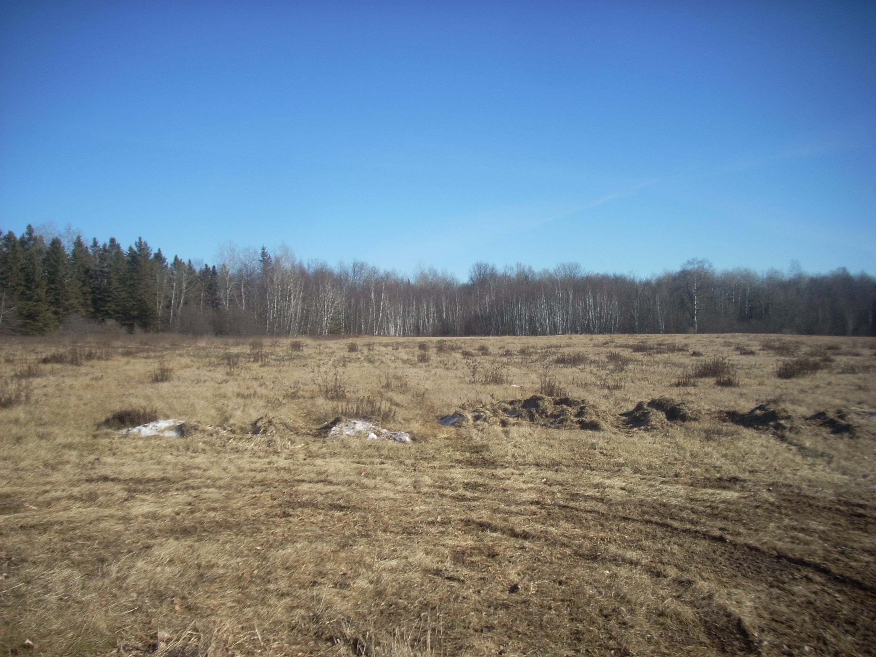 48.6-acres County Road West Merrill, WI 54452 - Photo 6 of 17