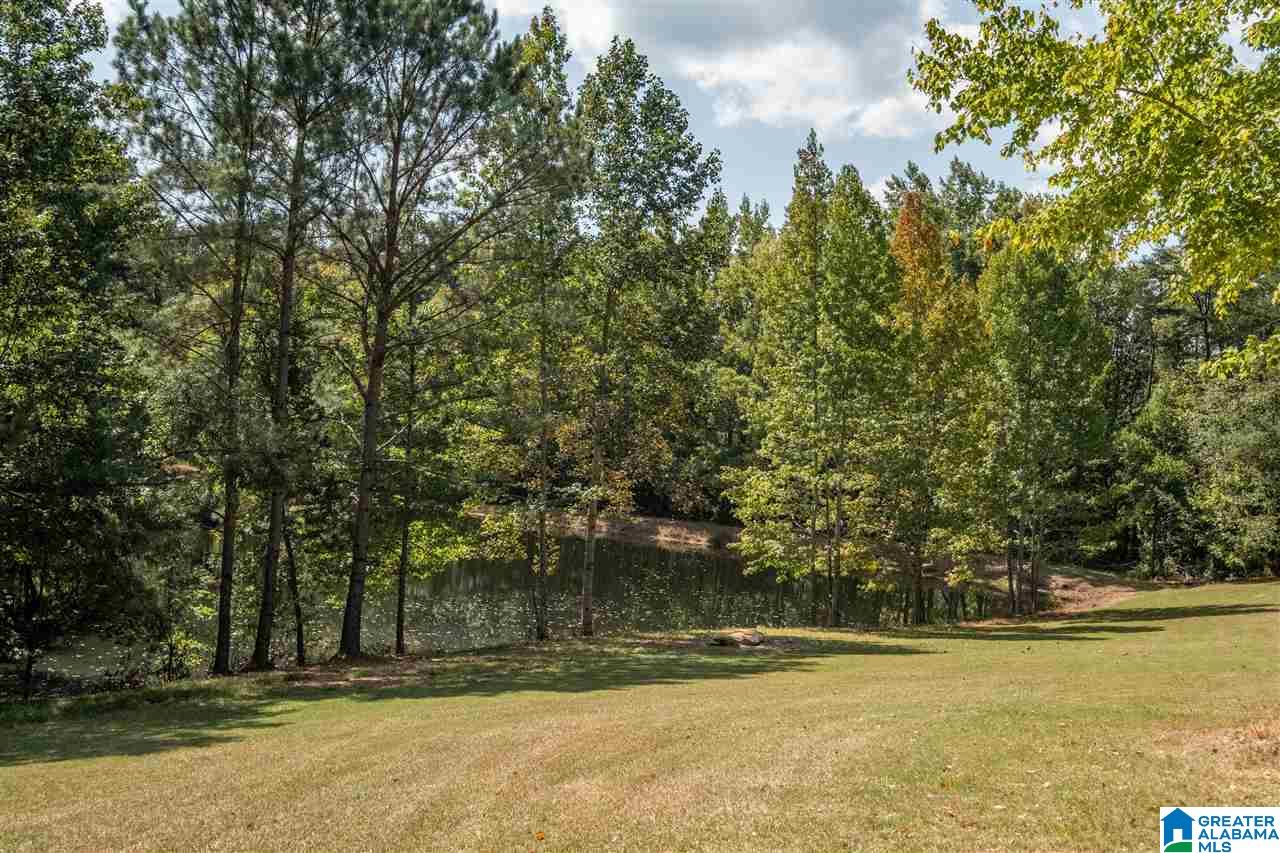 294 Drake Drive Springville, AL 35146 - Photo 36 of 39 Gallery Image 36