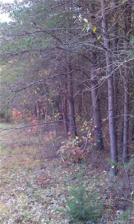 1 Bess Chapel Church Road Vale, NC 28168 - Photo 1 of 3 Gallery Image 1