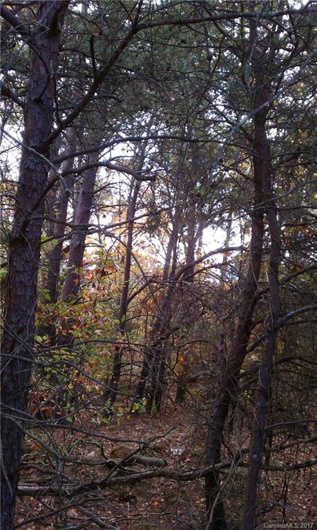 1 Bess Chapel Church Road Vale, NC 28168 - Photo 2 of 3 Gallery Image 2