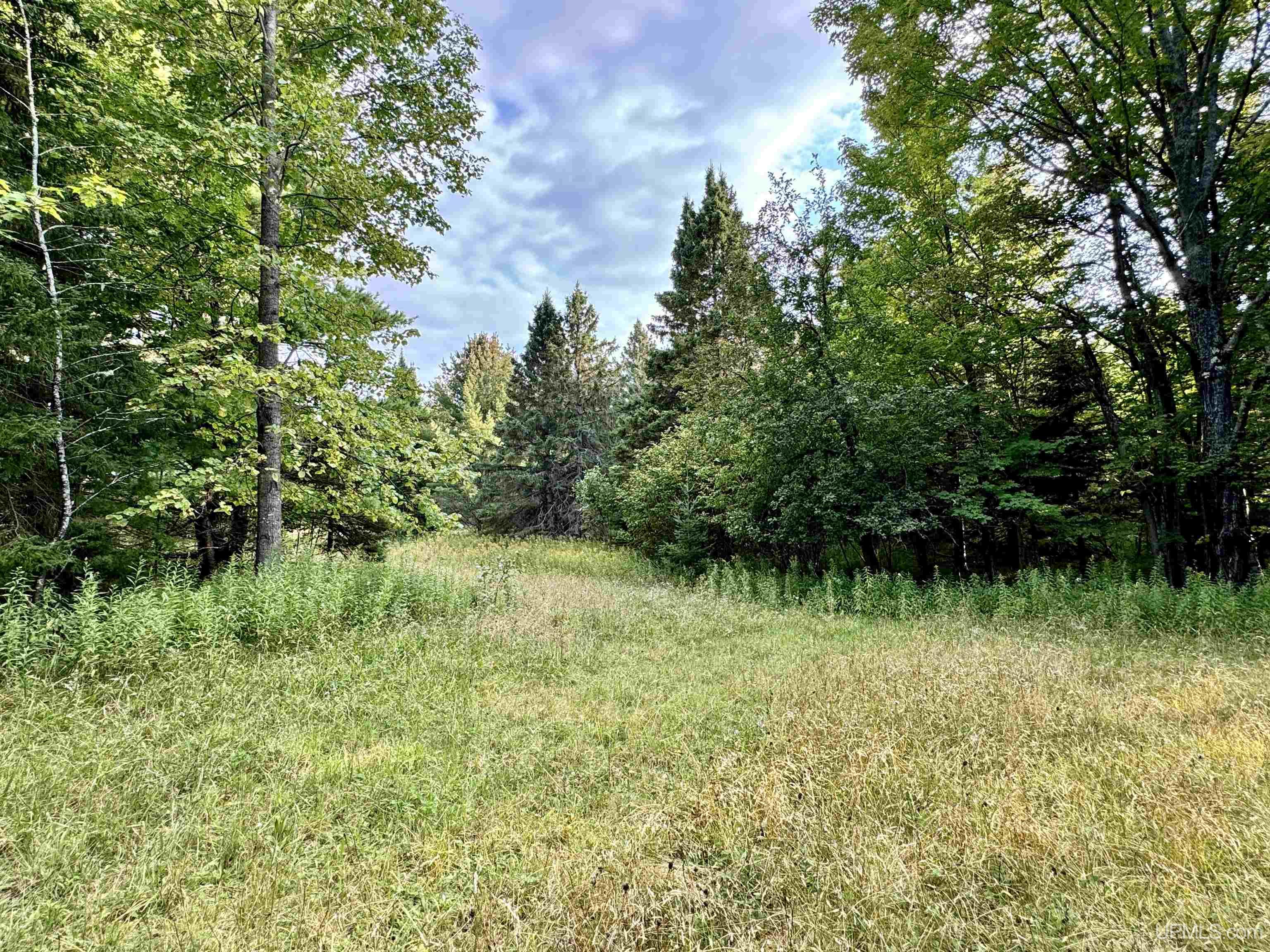 53403 Salo Road Hancock, MI 49930 - Photo 58 of 71 Gallery Image 58