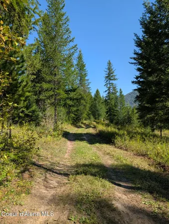 $599,000 | 46 Acres Iron Horse Road, Bonners Ferry, ID 83805