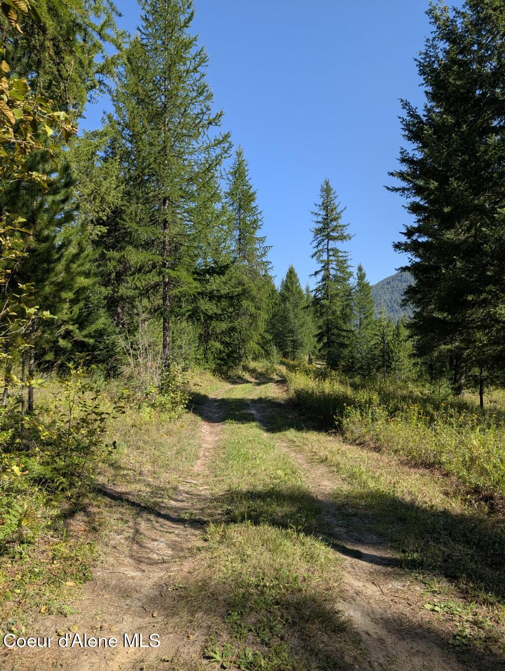 46 Acres Iron Horse Road Bonners Ferry, ID 83805 - Photo 11 of 46 Easy drive in