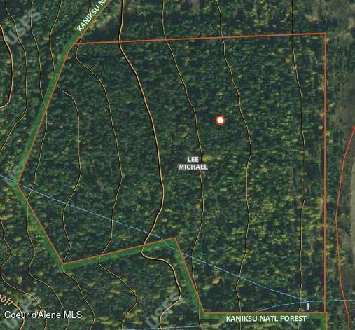 46 Acres Iron Horse Road Bonners Ferry, ID 83805 - Photo 2 of 46 Close up aerial