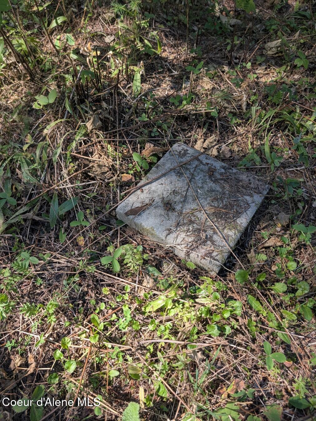 46 Acres Iron Horse Road Bonners Ferry, ID 83805 - Photo 26 of 46 1 dump station