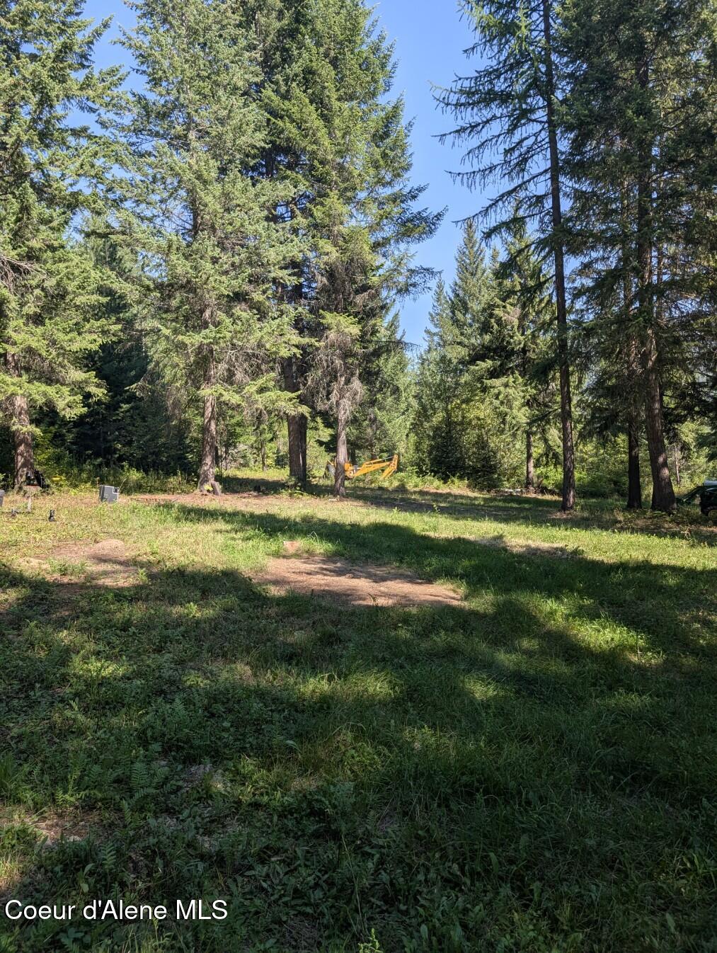 46 Acres Iron Horse Road Bonners Ferry, ID 83805 - Photo 27 of 46 Front yard area