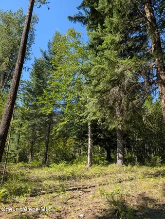 $599,000 | 46 Acres Iron Horse Road, Bonners Ferry, ID 83805