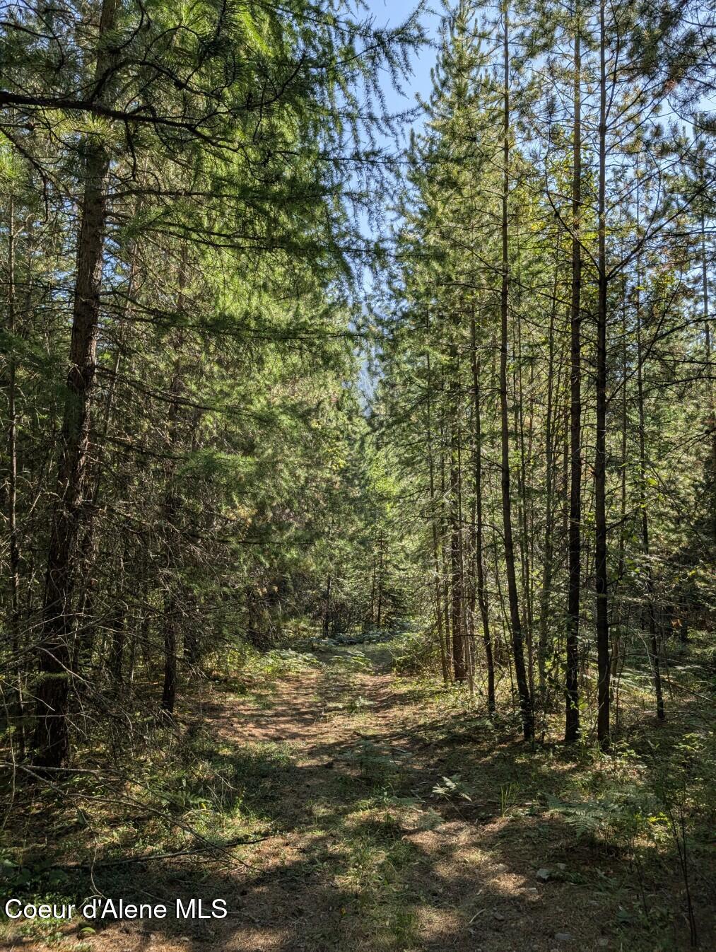 46 Acres Iron Horse Road Bonners Ferry, ID 83805 - Photo 33 of 46 Lots of trails