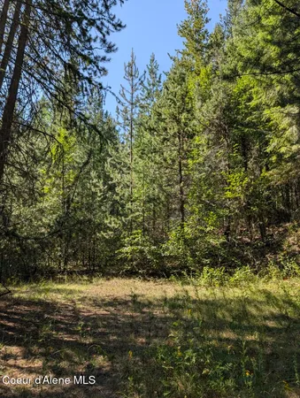 $599,000 | 46 Acres Iron Horse Road, Bonners Ferry, ID 83805