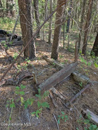 $599,000 | 46 Acres Iron Horse Road, Bonners Ferry, ID 83805