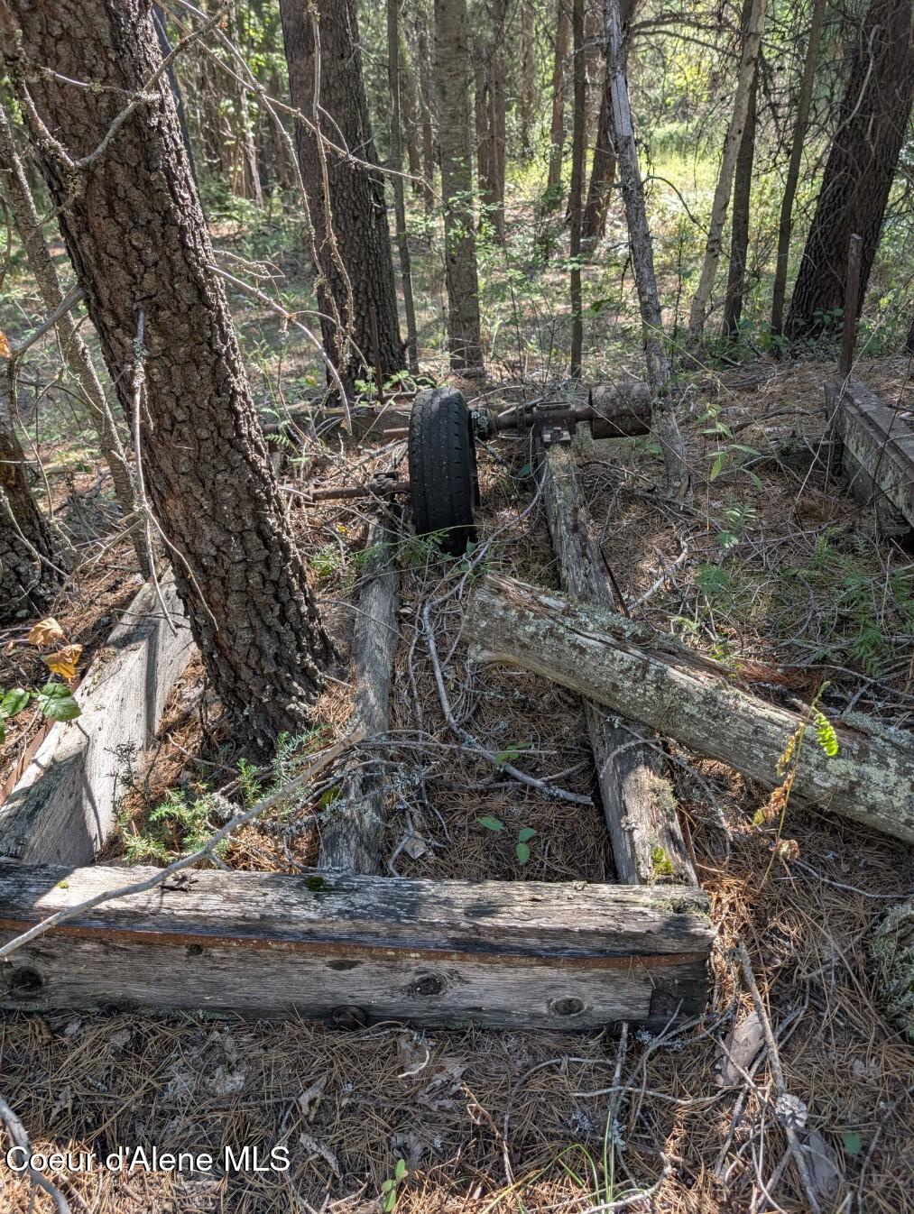 46 Acres Iron Horse Road Bonners Ferry, ID 83805 - Photo 37 of 46 Remnants of an old saw mill