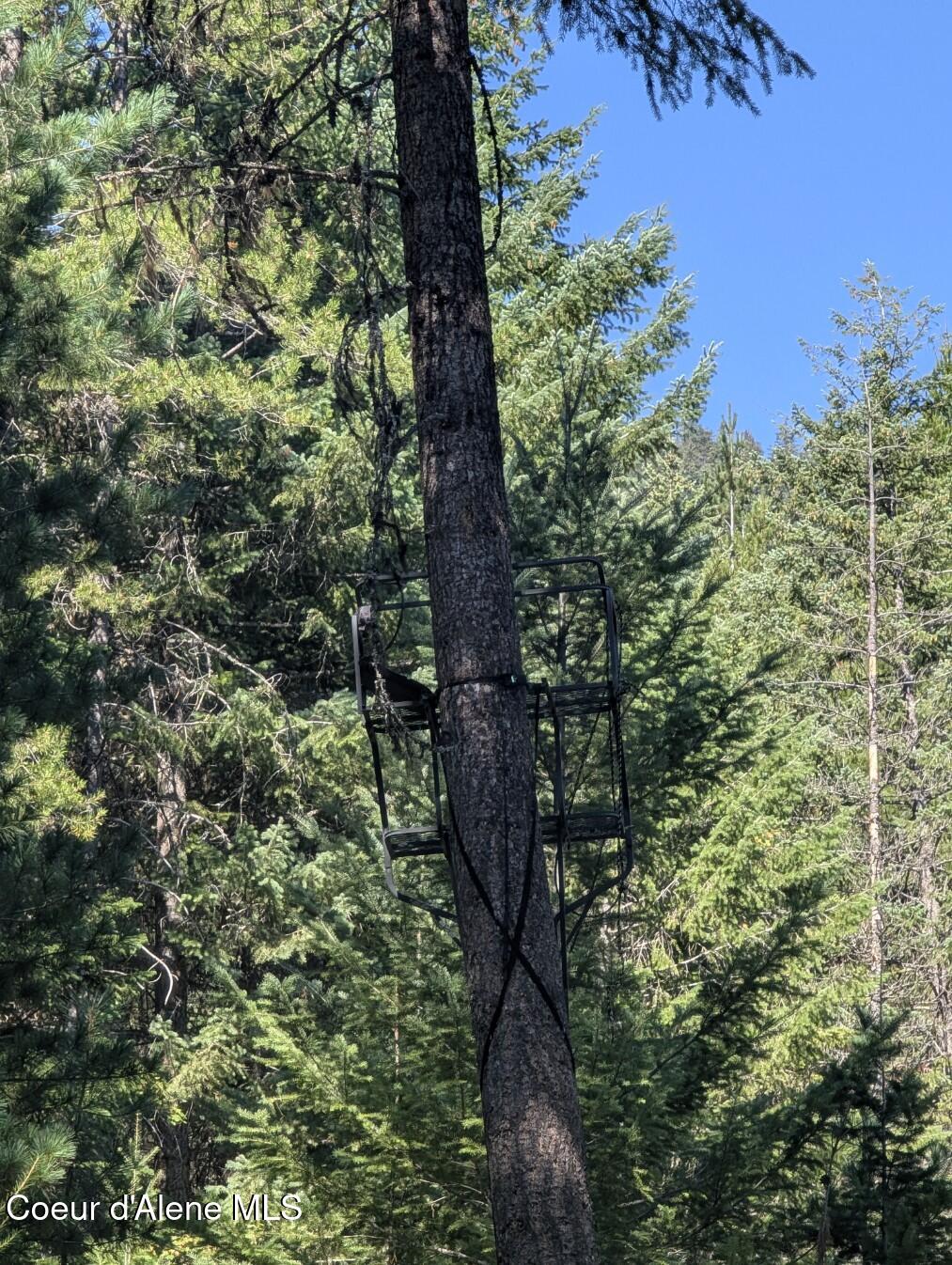 46 Acres Iron Horse Road Bonners Ferry, ID 83805 - Photo 38 of 46 Get your tag, fill your tag