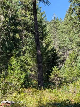 $599,000 | 46 Acres Iron Horse Road, Bonners Ferry, ID 83805