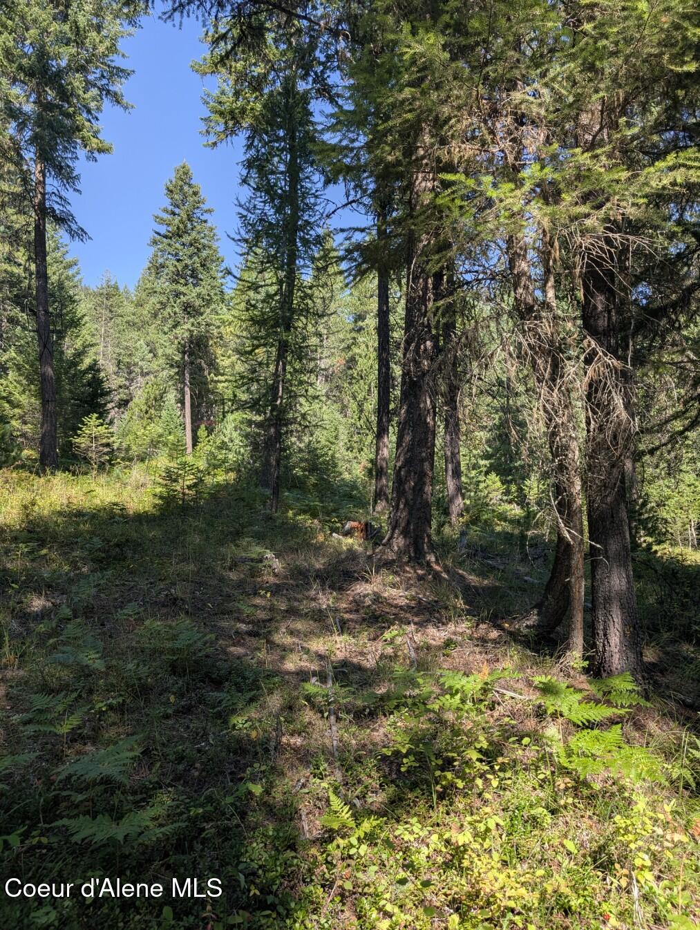 46 Acres Iron Horse Road Bonners Ferry, ID 83805 - Photo 40 of 46 Trekking along the property