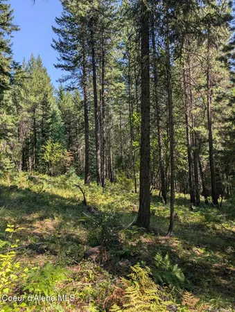 $599,000 | 46 Acres Iron Horse Road, Bonners Ferry, ID 83805