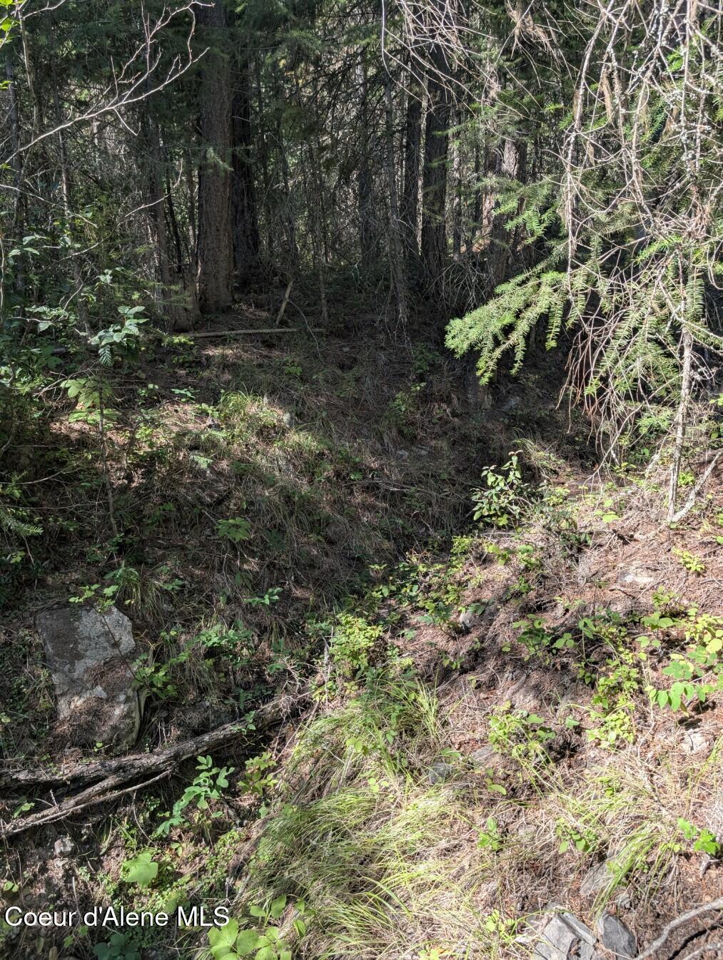 46 Acres Iron Horse Road Bonners Ferry, ID 83805 - Photo 42 of 46 Creekbed, possible sproperty