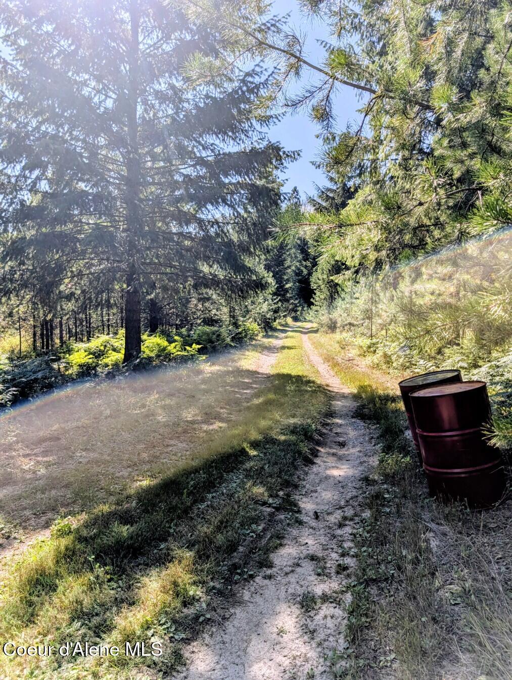 46 Acres Iron Horse Road Bonners Ferry, ID 83805 - Photo 43 of 46 Heading into property