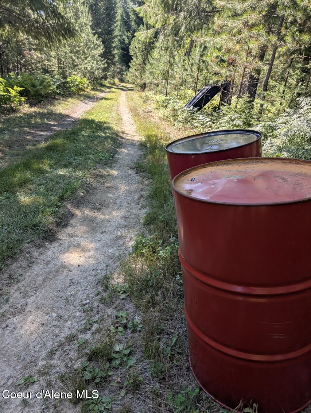 46 Acres Iron Horse Road Bonners Ferry, ID 83805 - Photo 44 of 46 Level drive in