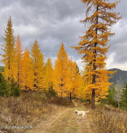 $599,000 | 46 Acres Iron Horse Road, Bonners Ferry, ID 83805