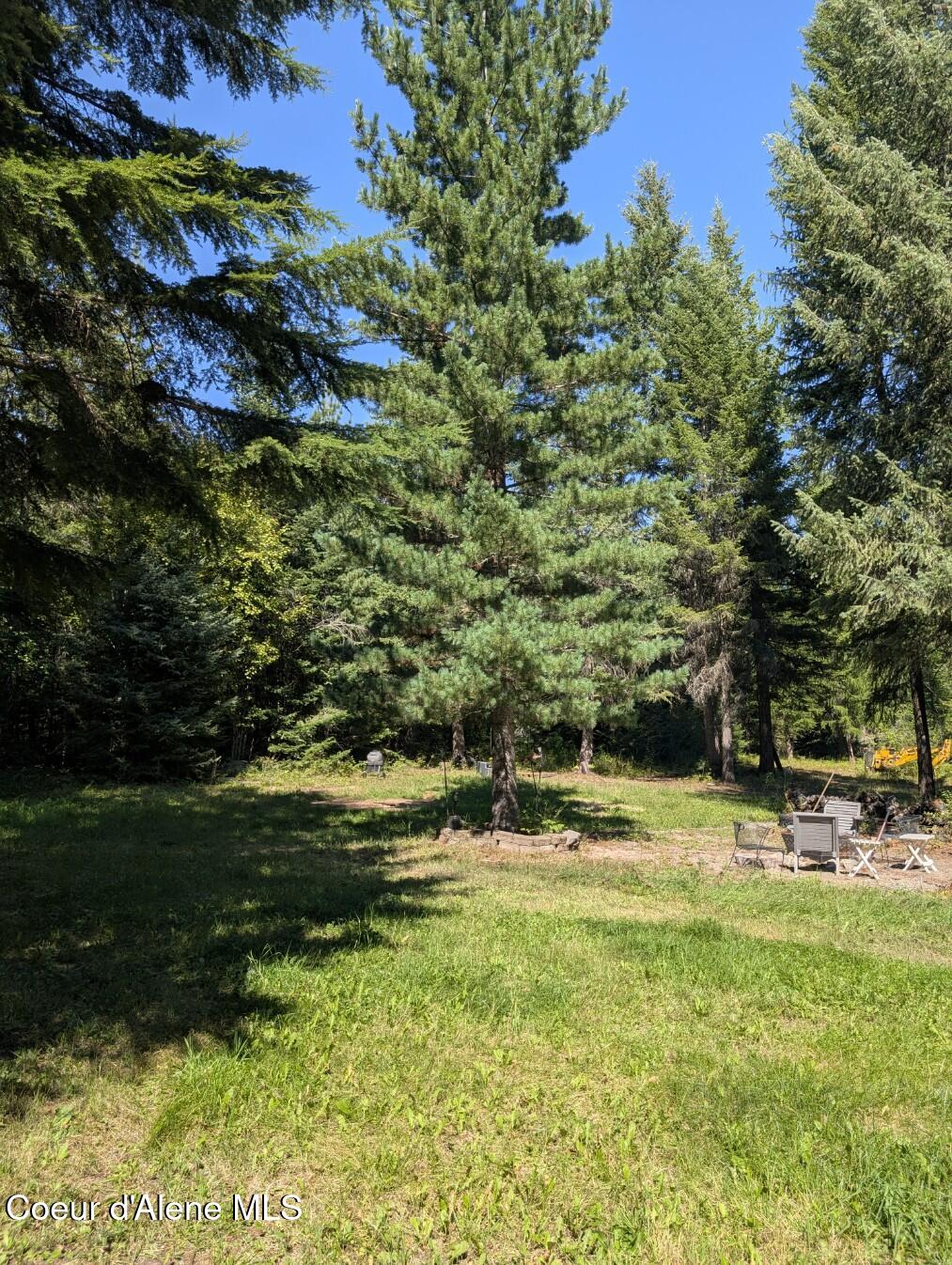 46 Acres Iron Horse Road Bonners Ferry, ID 83805 - Photo 9 of 46 Set up your stand and just wait...