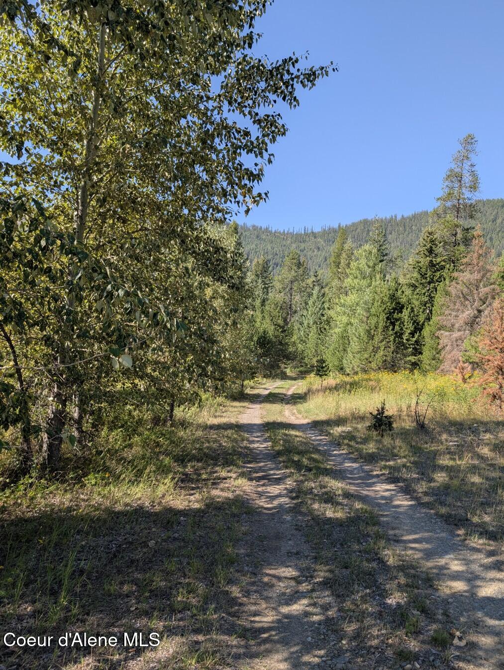 46 Acres Iron Horse Road Bonners Ferry, ID 83805 - Photo 10 of 46 Drive in