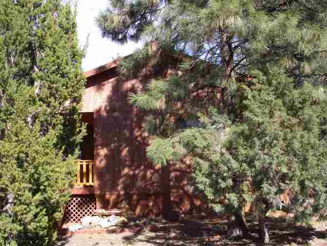 2939 Ransack Road Overgaard, AZ 85933 - Photo 2 of 5 a backyard of a house