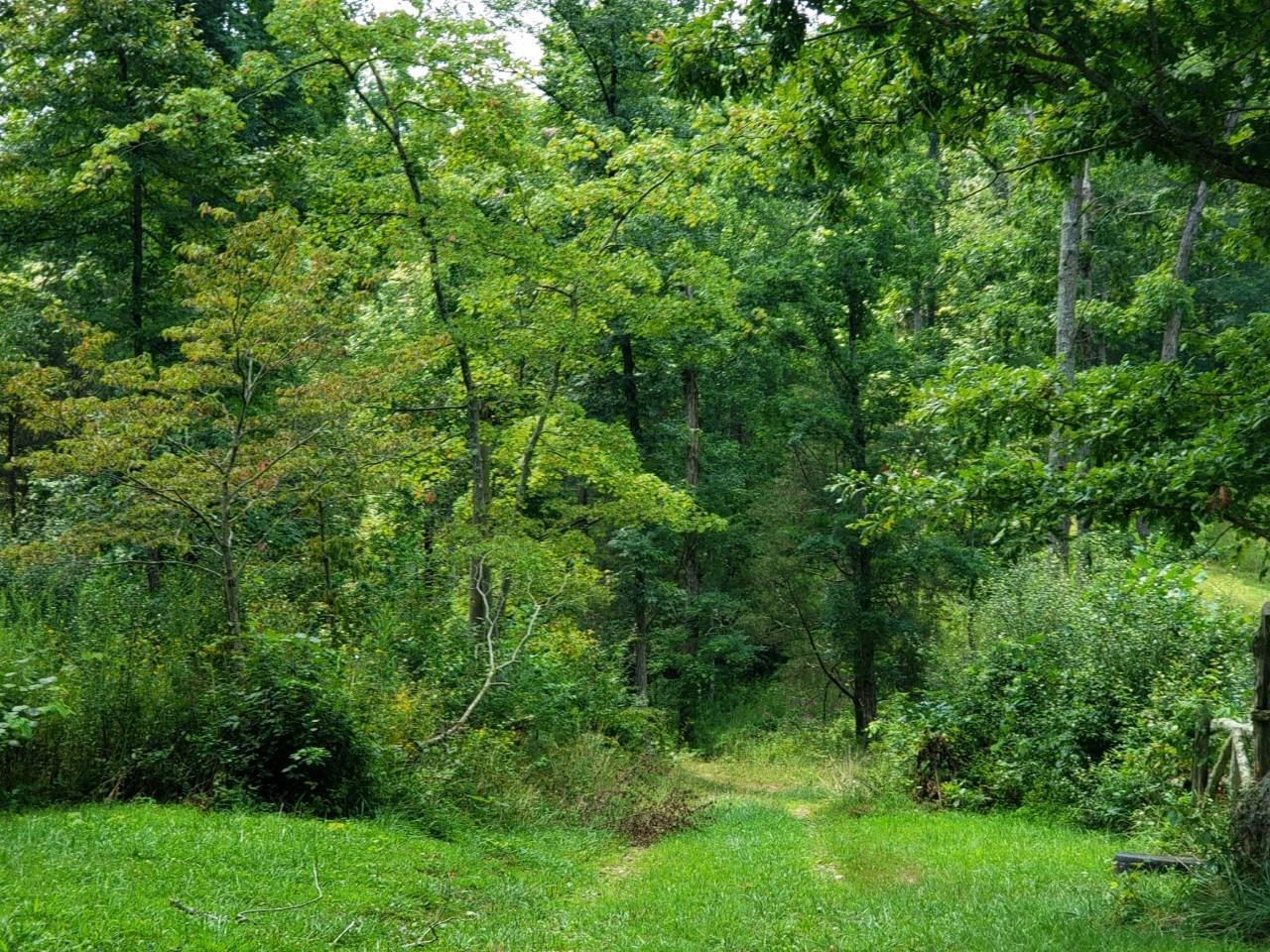 35 Davis Memorial Road Peebles, OH 45660 - Photo 1 of 7