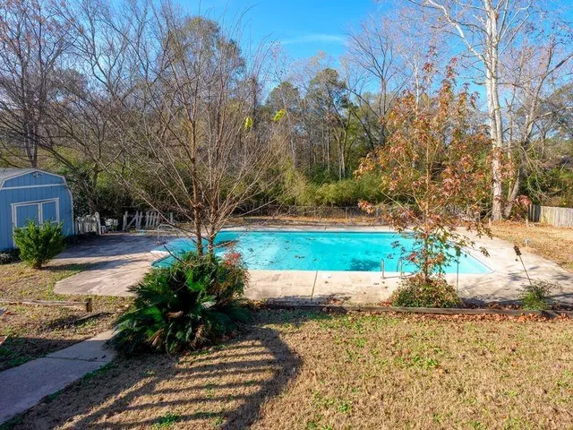 a view of a yard with plants and trees