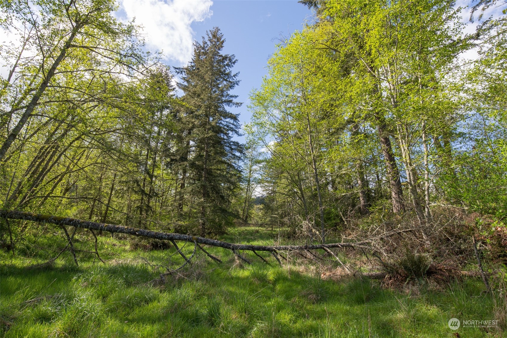 0 Harrington Road Port Angeles, WA 98362 - Photo 15 of 40